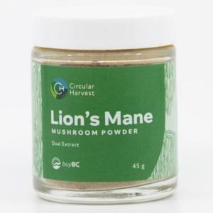Lion's Mane Mushroom Powder - 45 Grams