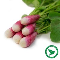 Certified Organic Fr. Breakfast Radish Per Bunch