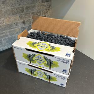 10lb Box - FRESH Duke Blueberries - Locally Grown