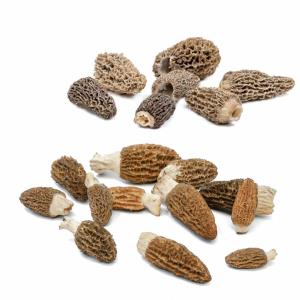 Fresh Morel Mushrooms - 5 lb
