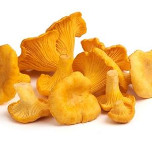 Fresh Golden Chanterelles - 2 lb