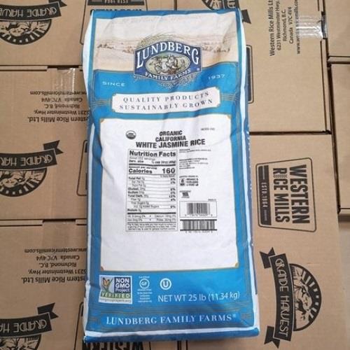 LUNDBERG: Organic White Jasmine Rice - 25 Lb