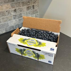 5lb Box - FRESH Duke Blueberries - Locally Grown