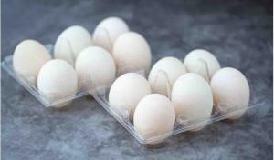 Duck Eggs - 12 Eggs