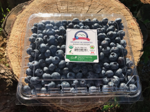 FRESH Blueberries Certified Organic - 2 LB clamshell