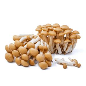Organic Brown Shimeji - 400g