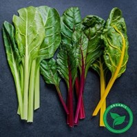 Certified Organic Red Chard Per Bunch