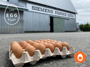 Free-range Eggs - Farm Fresh 30 eggs