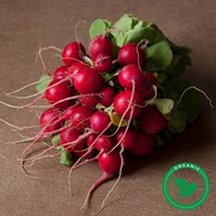 Certified Organic Bulk Red Beets Per Pound