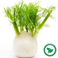 Certified Organic Baby Bok (Shanghai type) Per Pound