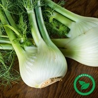 Certified Organic Fennel Per Bulb