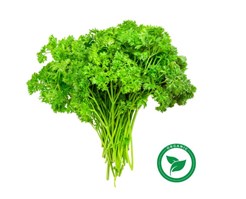 Certified Organic Italian Parsley Per Bunch