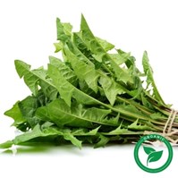 Certified Organic Green Dandelion Per Bunch