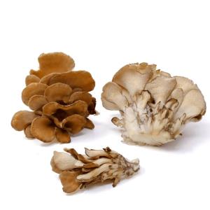 Fresh Organic Maitake - 400 Grams