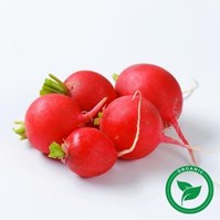 Certified Organic Bulk Red Juicer Beets Per Pound