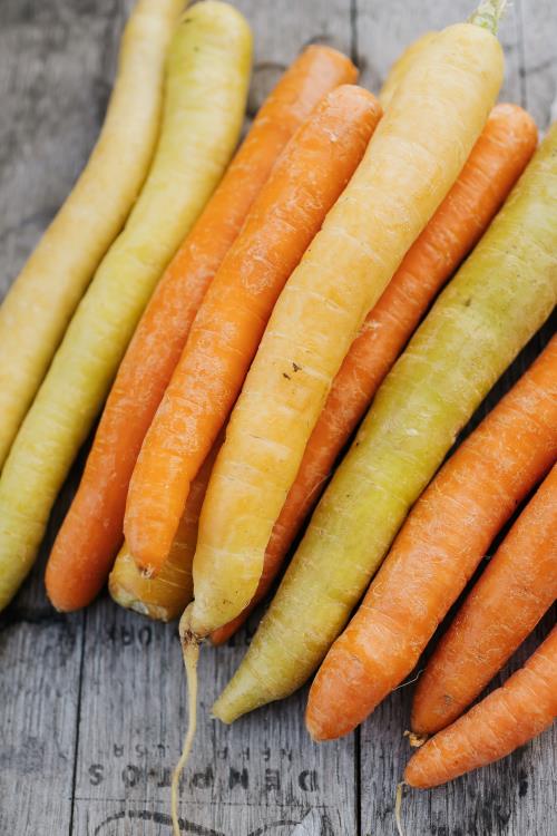 Carrots [Rainbow/Orange] - 25 lb