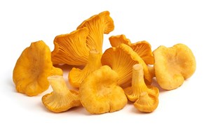 Fresh Golden Chanterelles - 1lb