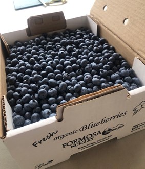 Blueberries Certified Organic - 10 LB box ** FROZEN  **