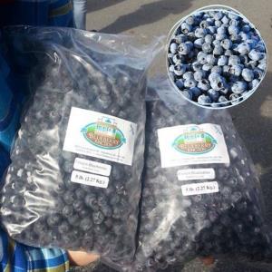 Frozen Duke Blueberries - 30 lb. box