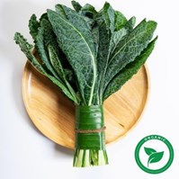 Certified Organic Green Chard Per Bunch