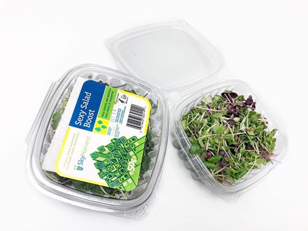 Organic Sexy Salad Boost - 50G