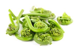 Fresh BC Fiddleheads -170g