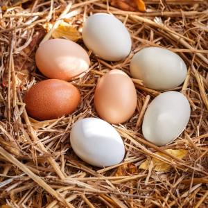 Farm Fresh - Free Range [12 eggs] - 1 dozen