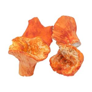 Fresh Lobster Mushrooms - 3LB