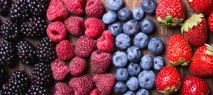 Frozen Mixed Berries [Strawberry, Blackberry, Blueberry, Raspberry] - 25 lb box