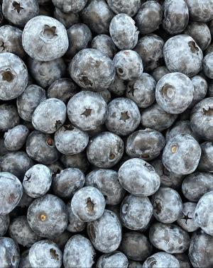 Blueberries - 5 lb box