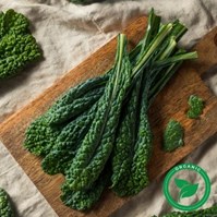 Certified Organic Lacinato Kale (Black) Per Bunch