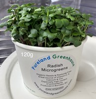 Radish microgreens- 120G Box