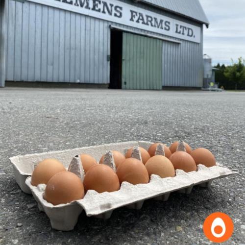 Free-range Eggs - Farm Fresh 12 eggs