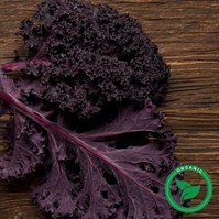 Certified Organic Red Bor Kale Per Bunch