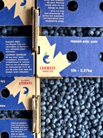 5 LB Blueberries Duke Variety