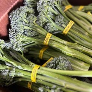 Organic Broccolini per bunch