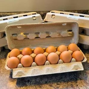 One Dozen Farm - Fresh Eggs - 12 Eggs