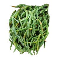 Fresh Sea Asparagus - 2 lb