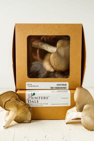 Fresh Tree Oyster Mushroom - 200 g