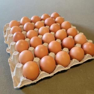 Flat of Farm Fresh Eggs - 30 Eggs