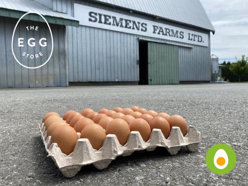 Organic Eggs - Farm Fresh 30 eggs