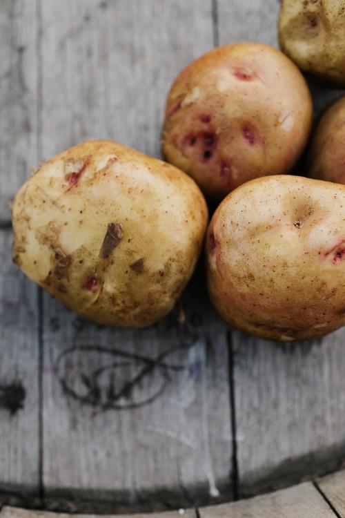 Warba Potatoes - 5 lbs