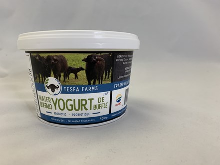 TESFA FARMS: Water Buffalo Yogurt - 500g