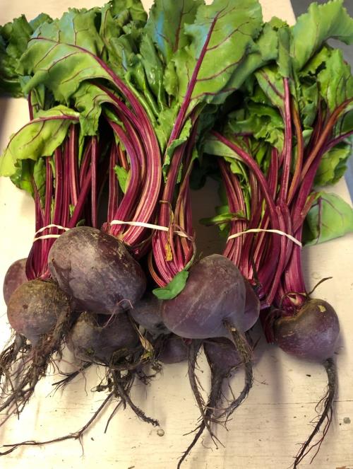 Red Beets - 1 Bunch
