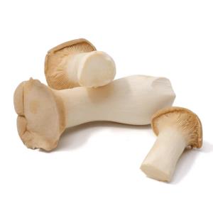 Fresh Organic King Trumpet - 170 Grams