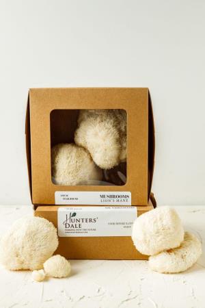 Fresh Lions Mane Mushrooms 500g / box
