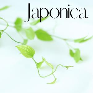 Japonica'