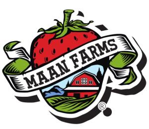 Maan